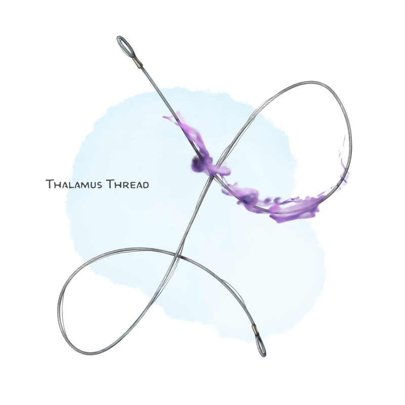 Illustration of Thalamus Thread
